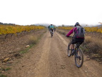 rodanas nov12-14