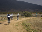 rodanas nov12-16