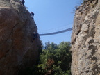 P7050033